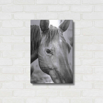 Luxe Metal Art 'Trophy Winner II' by Donnie Quillen Metal Wall Art,16x24