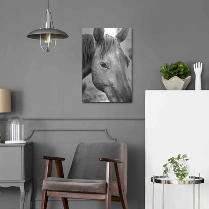 Luxe Metal Art 'Trophy Winner II' by Donnie Quillen Metal Wall Art,16x24
