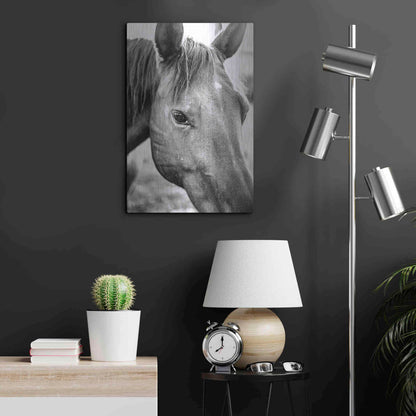 Luxe Metal Art 'Trophy Winner II' by Donnie Quillen Metal Wall Art,16x24