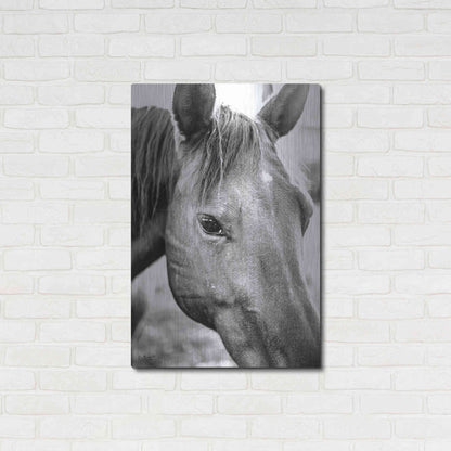 Luxe Metal Art 'Trophy Winner II' by Donnie Quillen Metal Wall Art,24x36