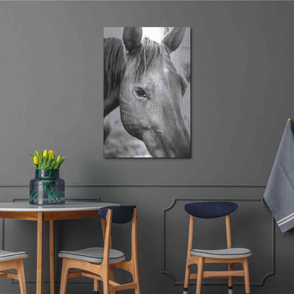 Luxe Metal Art 'Trophy Winner II' by Donnie Quillen Metal Wall Art,24x36