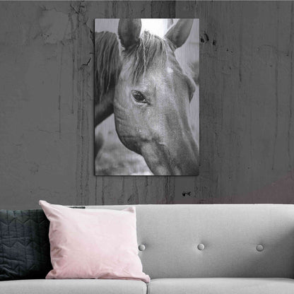 Luxe Metal Art 'Trophy Winner II' by Donnie Quillen Metal Wall Art,24x36