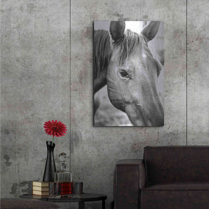 Luxe Metal Art 'Trophy Winner II' by Donnie Quillen Metal Wall Art,24x36