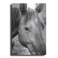 Luxe Metal Art 'Trophy Winner II' by Donnie Quillen Metal Wall Art