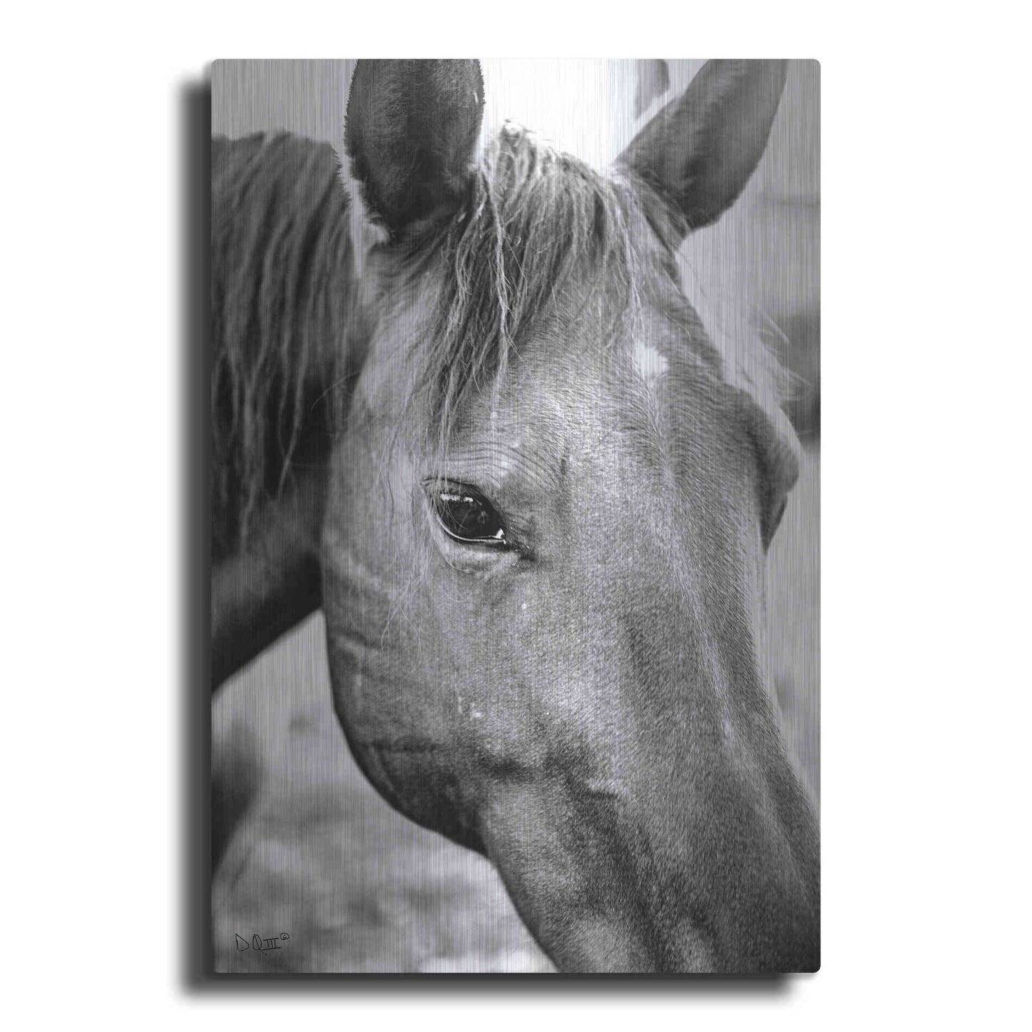 Luxe Metal Art 'Trophy Winner II' by Donnie Quillen Metal Wall Art