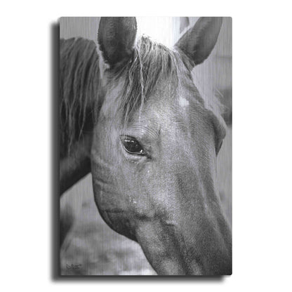 Luxe Metal Art 'Trophy Winner II' by Donnie Quillen Metal Wall Art