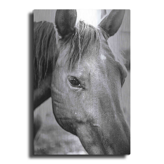 Luxe Metal Art 'Trophy Winner II' by Donnie Quillen Metal Wall Art