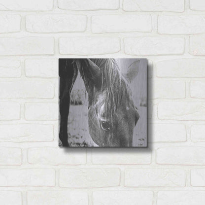 Luxe Metal Art 'Trophy Winner III' by Donnie Quillen Metal Wall Art,12x12