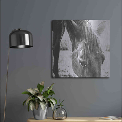 Luxe Metal Art 'Trophy Winner III' by Donnie Quillen Metal Wall Art,24x24