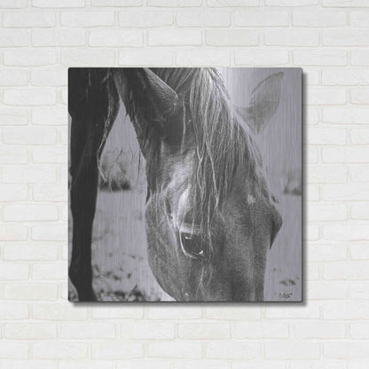 Luxe Metal Art 'Trophy Winner III' by Donnie Quillen Metal Wall Art,36x36