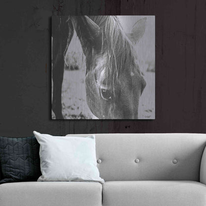 Luxe Metal Art 'Trophy Winner III' by Donnie Quillen Metal Wall Art,36x36
