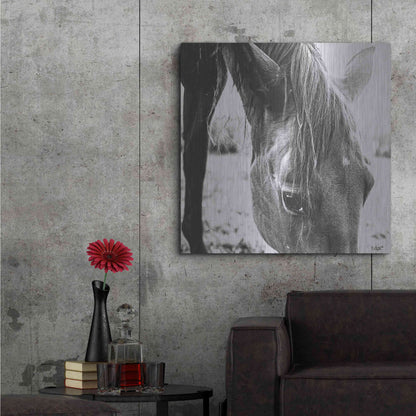 Luxe Metal Art 'Trophy Winner III' by Donnie Quillen Metal Wall Art,36x36