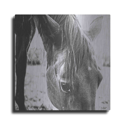 Luxe Metal Art 'Trophy Winner III' by Donnie Quillen Metal Wall Art