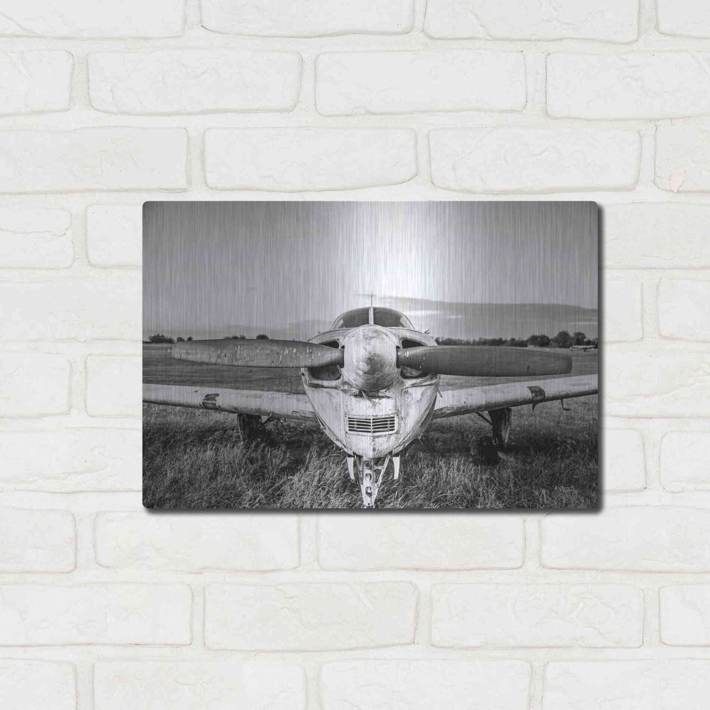 Luxe Metal Art 'Last Flight II' by Donnie Quillen Metal Wall Art,16x12