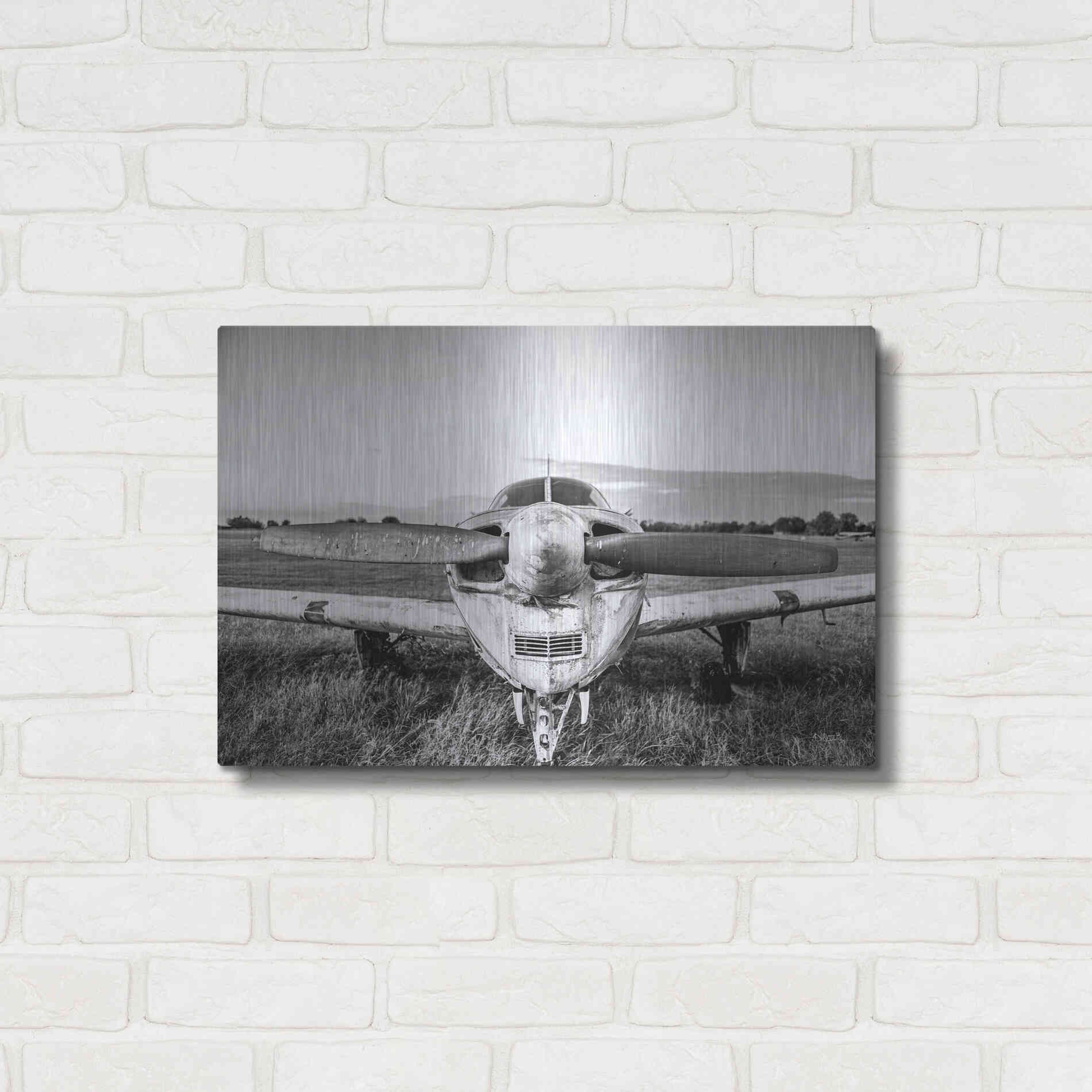 Luxe Metal Art 'Last Flight II' by Donnie Quillen Metal Wall Art,24x16