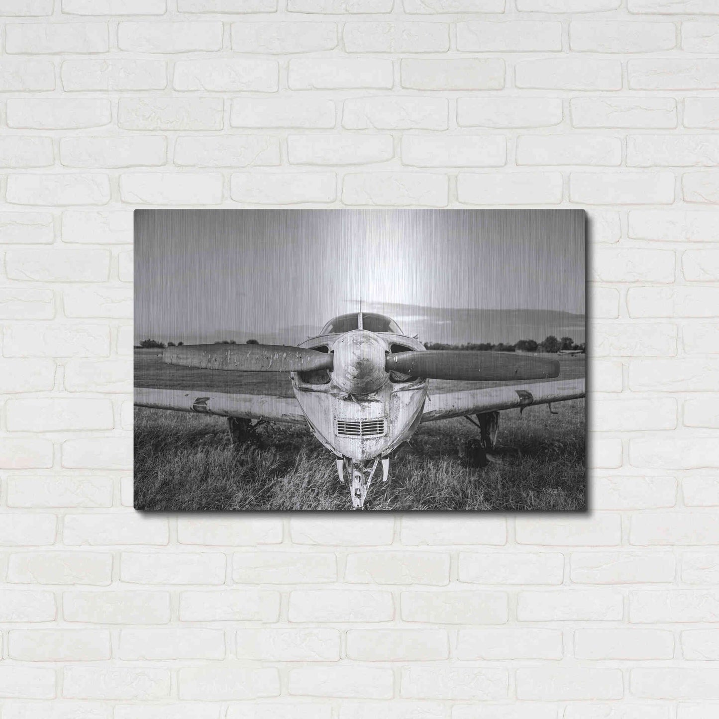 Luxe Metal Art 'Last Flight II' by Donnie Quillen Metal Wall Art,36x24