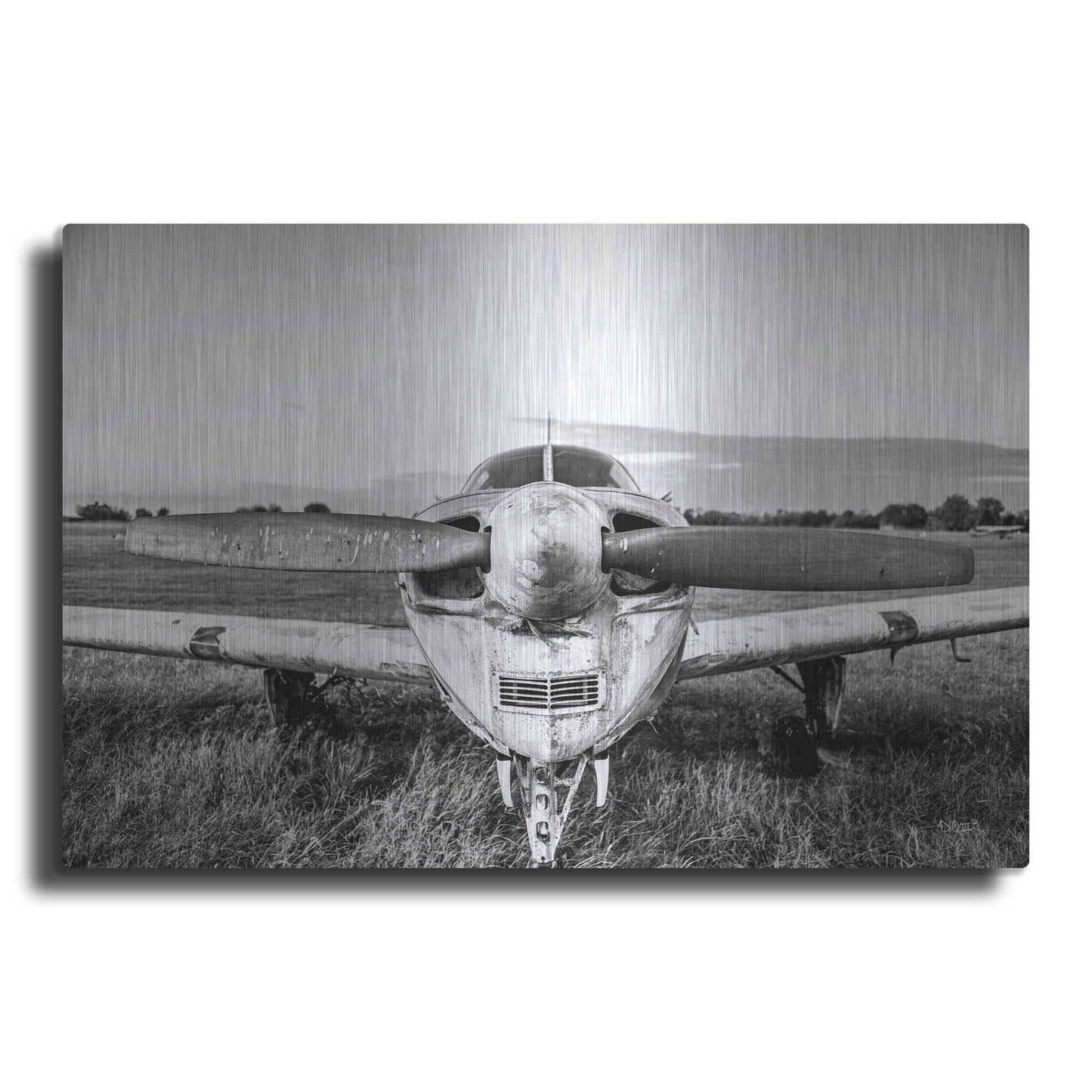 Luxe Metal Art 'Last Flight II' by Donnie Quillen Metal Wall Art