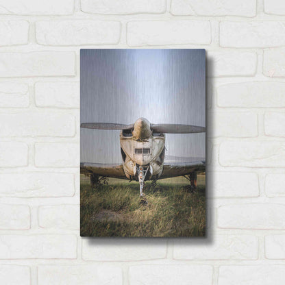 Luxe Metal Art 'Last Flight III' by Donnie Quillen Metal Wall Art,12x16