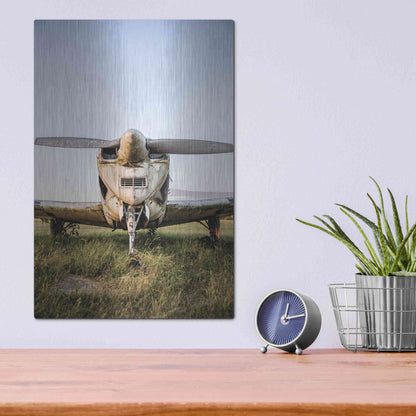 Luxe Metal Art 'Last Flight III' by Donnie Quillen Metal Wall Art,12x16