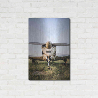 Luxe Metal Art 'Last Flight III' by Donnie Quillen Metal Wall Art,24x36