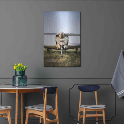 Luxe Metal Art 'Last Flight III' by Donnie Quillen Metal Wall Art,24x36