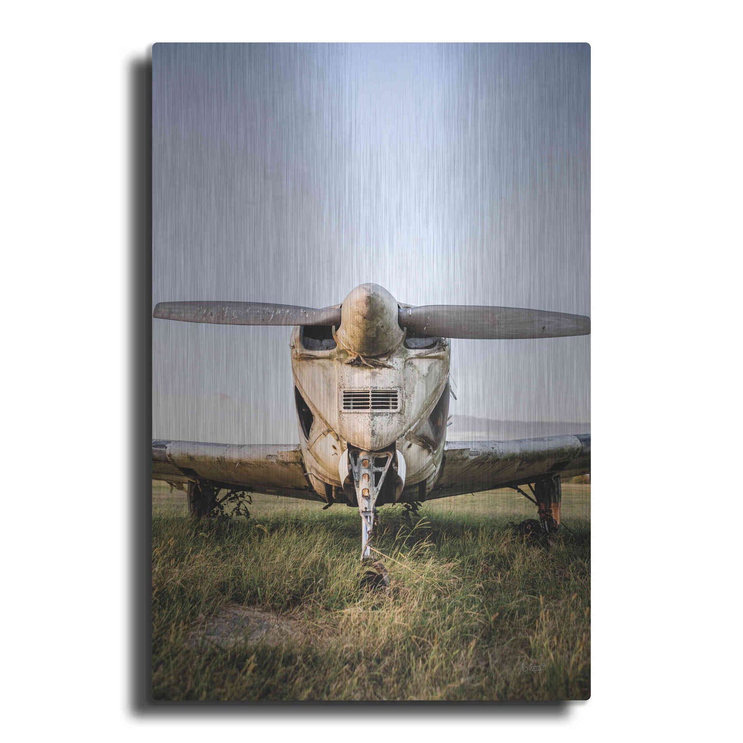 Luxe Metal Art 'Last Flight III' by Donnie Quillen Metal Wall Art