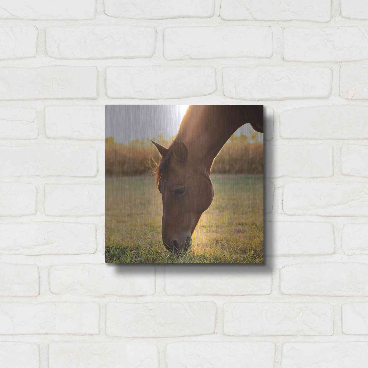 Luxe Metal Art 'Sunset Grazing II' by Donnie Quillen Metal Wall Art,12x12