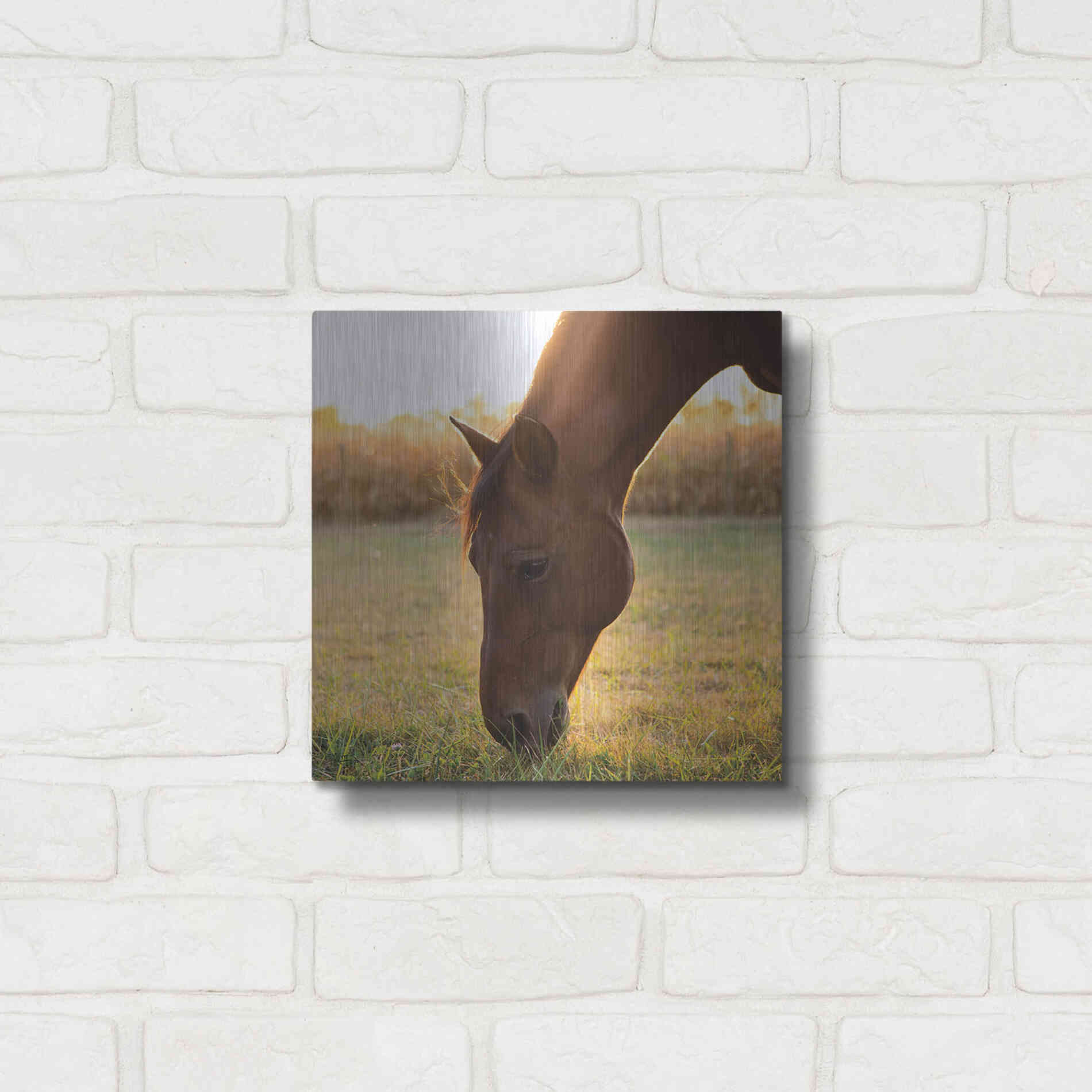 Luxe Metal Art 'Sunset Grazing II' by Donnie Quillen Metal Wall Art,12x12
