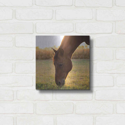 Luxe Metal Art 'Sunset Grazing II' by Donnie Quillen Metal Wall Art,12x12