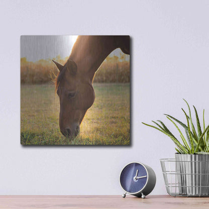 Luxe Metal Art 'Sunset Grazing II' by Donnie Quillen Metal Wall Art,12x12