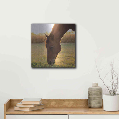 Luxe Metal Art 'Sunset Grazing II' by Donnie Quillen Metal Wall Art,12x12