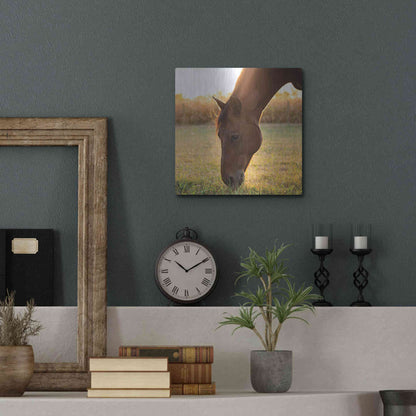 Luxe Metal Art 'Sunset Grazing II' by Donnie Quillen Metal Wall Art,12x12