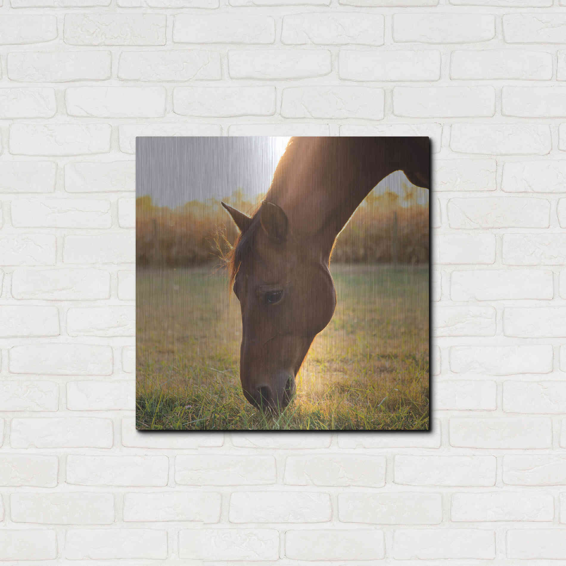 Luxe Metal Art 'Sunset Grazing II' by Donnie Quillen Metal Wall Art,24x24