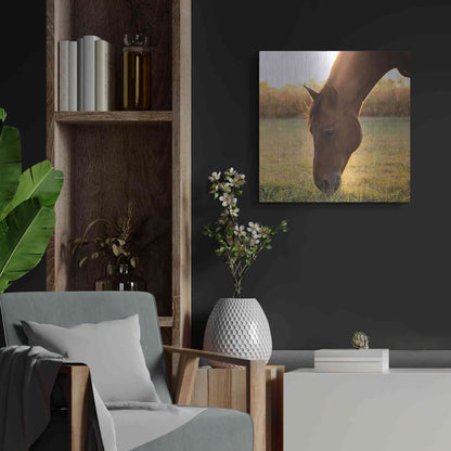 Luxe Metal Art 'Sunset Grazing II' by Donnie Quillen Metal Wall Art,24x24