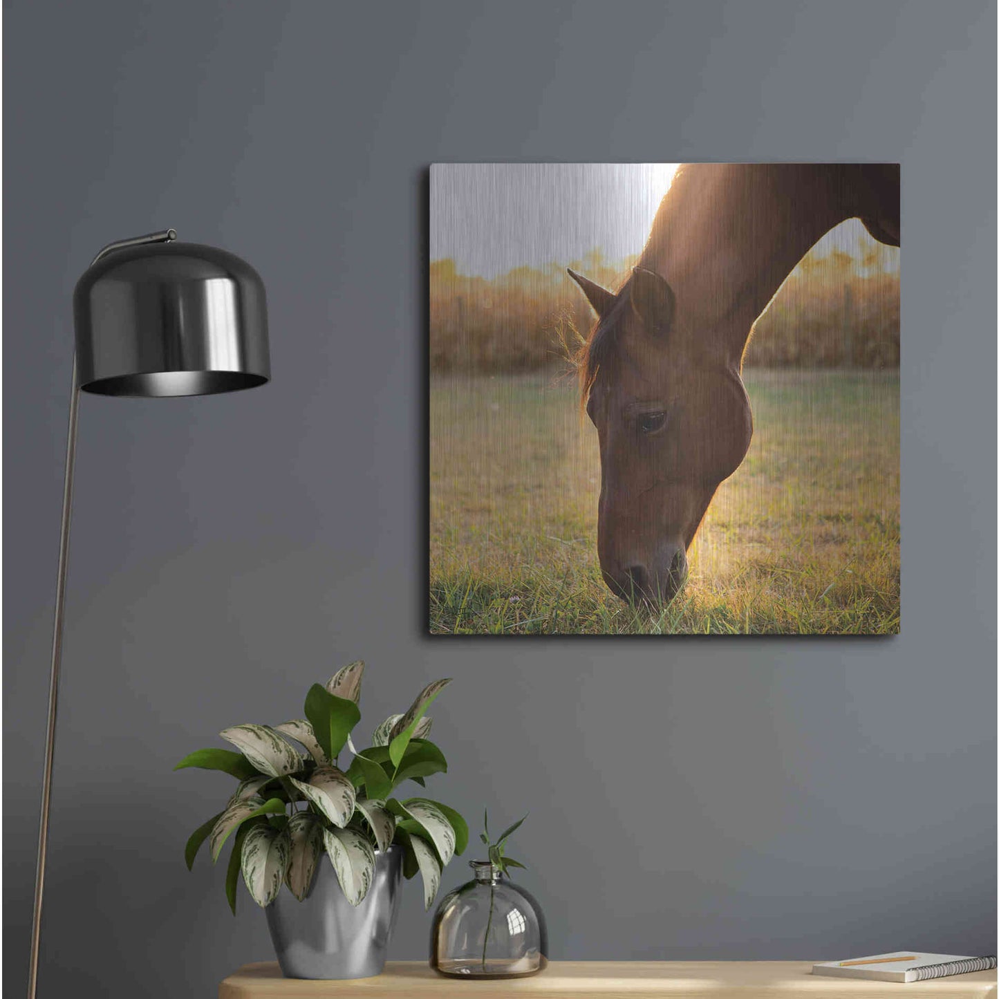 Luxe Metal Art 'Sunset Grazing II' by Donnie Quillen Metal Wall Art,24x24