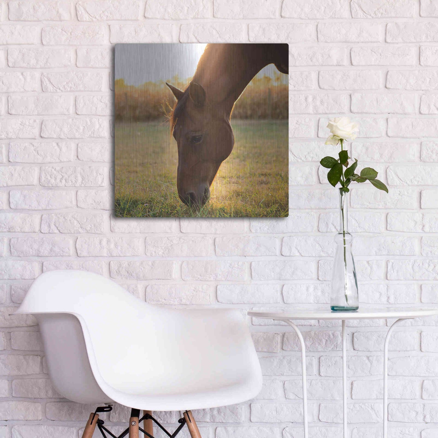 Luxe Metal Art 'Sunset Grazing II' by Donnie Quillen Metal Wall Art,24x24