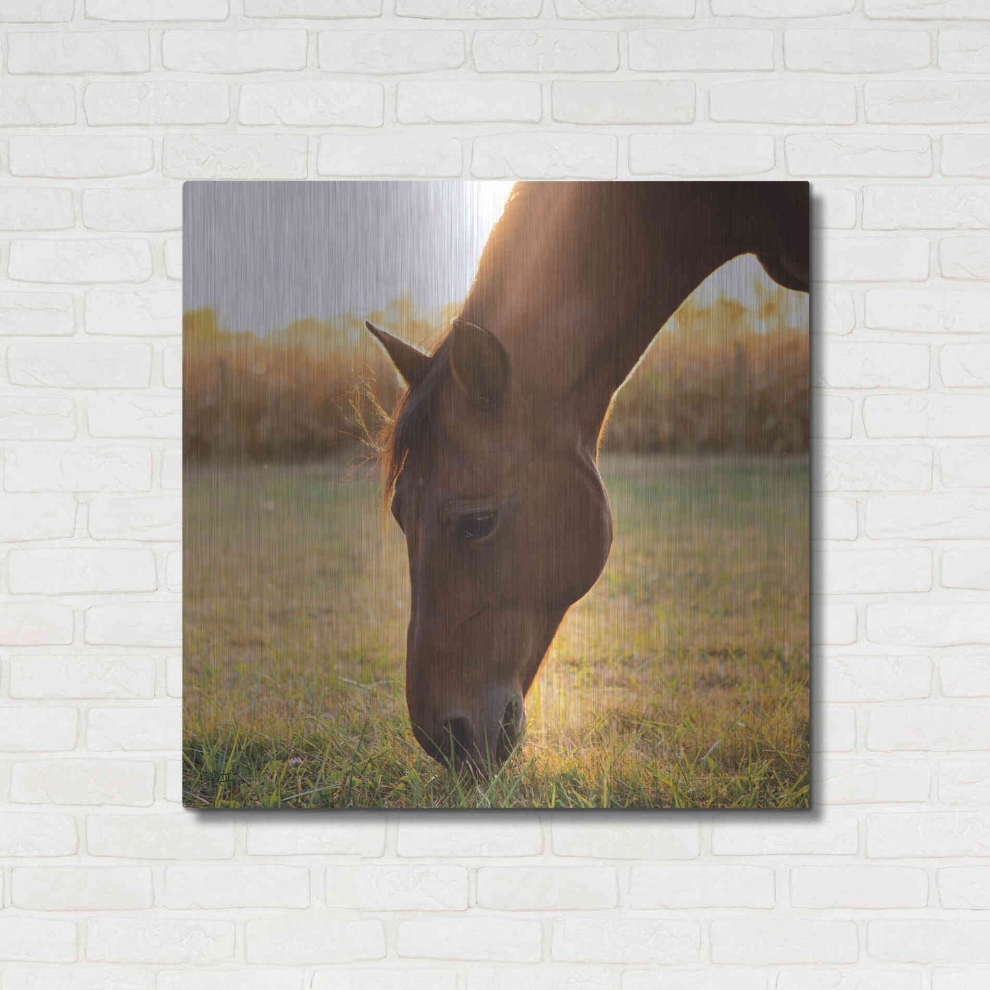 Luxe Metal Art 'Sunset Grazing II' by Donnie Quillen Metal Wall Art,36x36