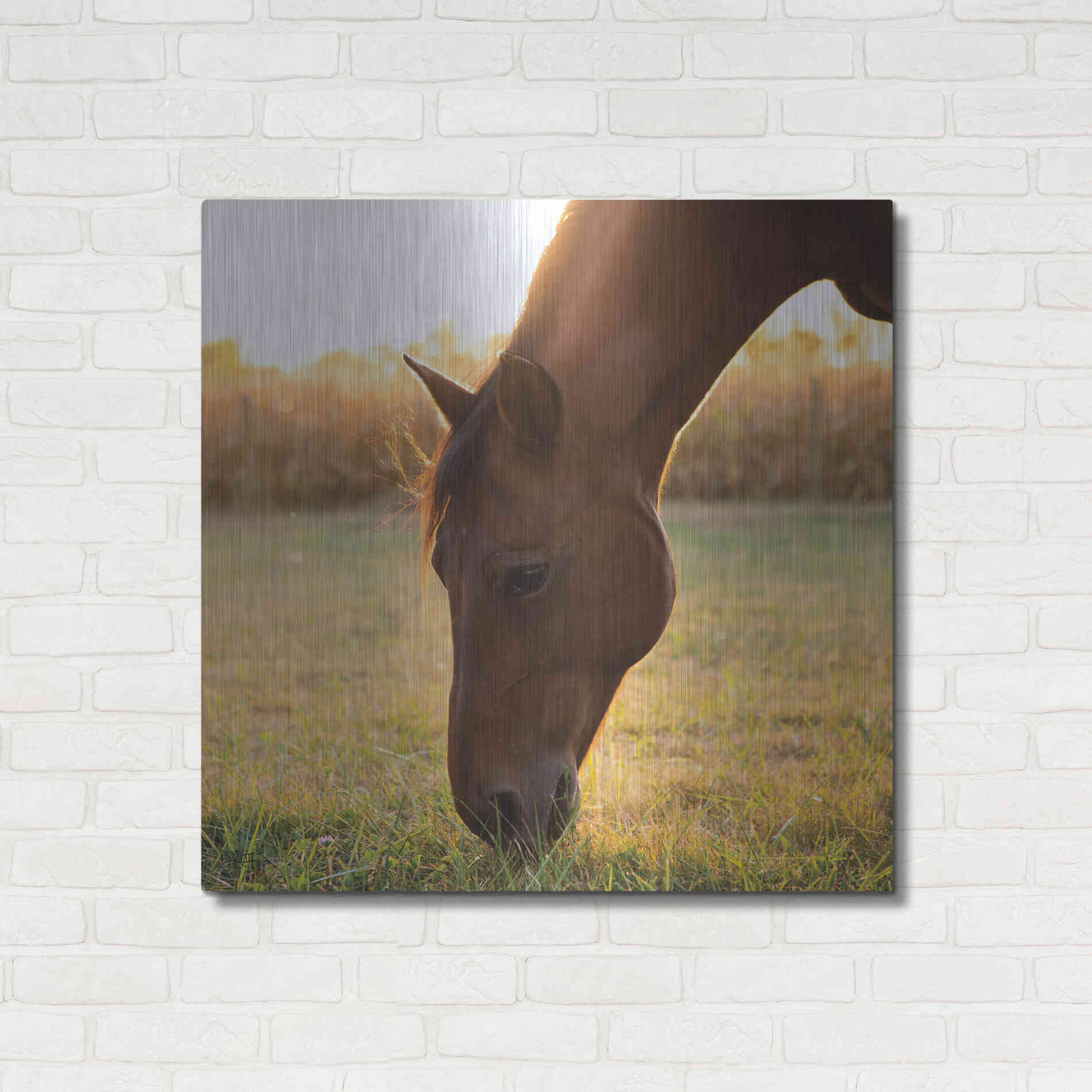 Luxe Metal Art 'Sunset Grazing II' by Donnie Quillen Metal Wall Art,36x36