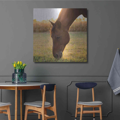 Luxe Metal Art 'Sunset Grazing II' by Donnie Quillen Metal Wall Art,36x36