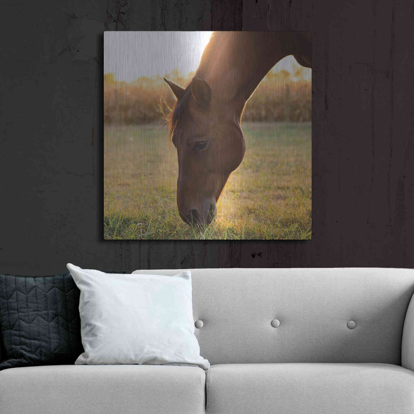 Luxe Metal Art 'Sunset Grazing II' by Donnie Quillen Metal Wall Art,36x36