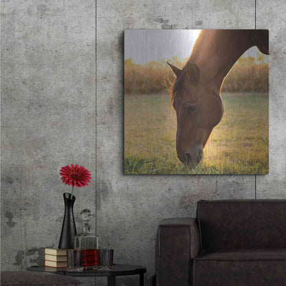 Luxe Metal Art 'Sunset Grazing II' by Donnie Quillen Metal Wall Art,36x36