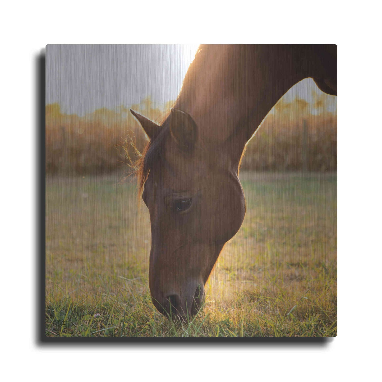 Luxe Metal Art 'Sunset Grazing II' by Donnie Quillen Metal Wall Art