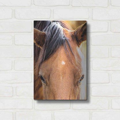 Luxe Metal Art 'Soft Brown' by Donnie Quillen Metal Wall Art,12x16