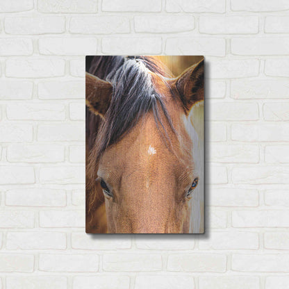 Luxe Metal Art 'Soft Brown' by Donnie Quillen Metal Wall Art,16x24