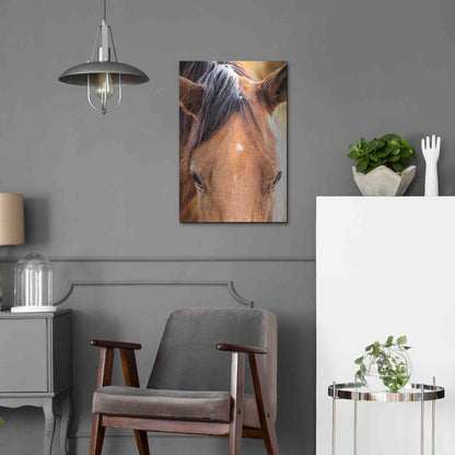 Luxe Metal Art 'Soft Brown' by Donnie Quillen Metal Wall Art,16x24