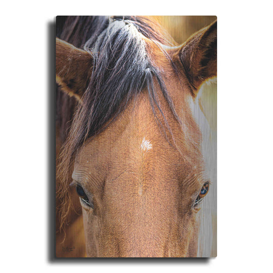 Luxe Metal Art 'Soft Brown' by Donnie Quillen Metal Wall Art