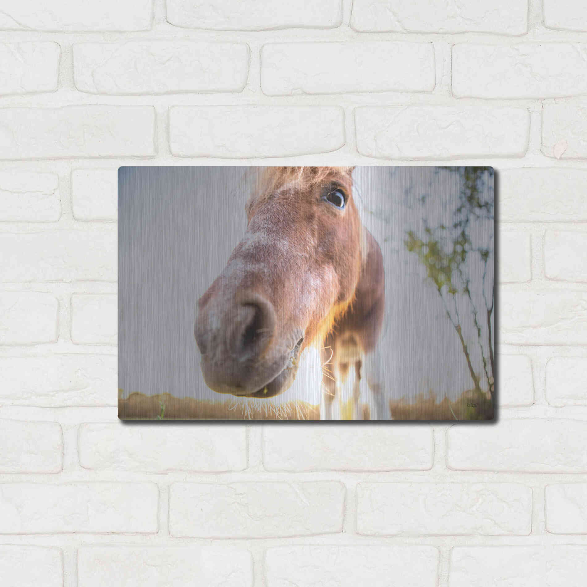 Luxe Metal Art 'Hi Horse' by Donnie Quillen Metal Wall Art,16x12