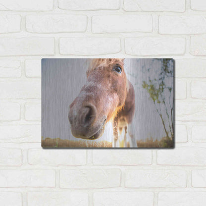 Luxe Metal Art 'Hi Horse' by Donnie Quillen Metal Wall Art,16x12