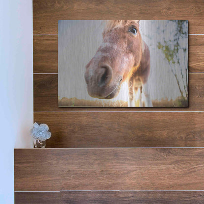 Luxe Metal Art 'Hi Horse' by Donnie Quillen Metal Wall Art,16x12
