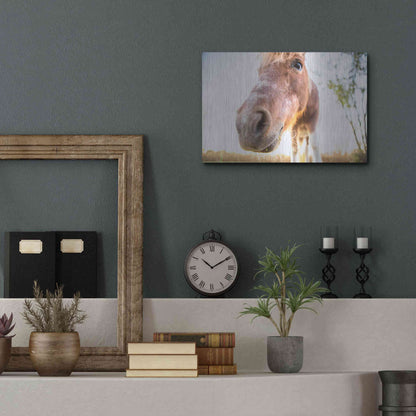 Luxe Metal Art 'Hi Horse' by Donnie Quillen Metal Wall Art,16x12